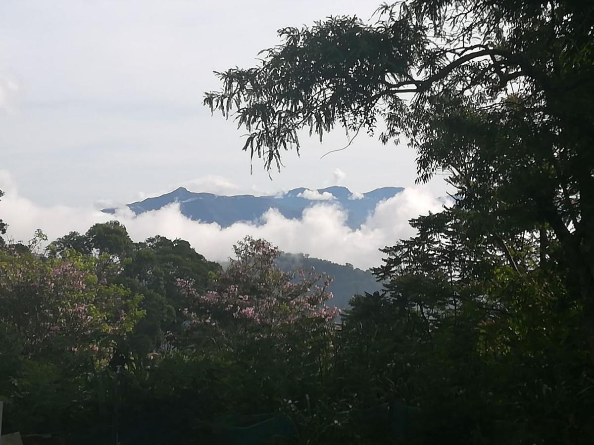Jungle Tide Bed and Breakfast Kandy Buitenkant foto