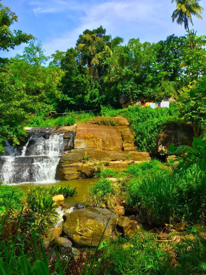 Jungle Tide Bed and Breakfast Kandy Buitenkant foto