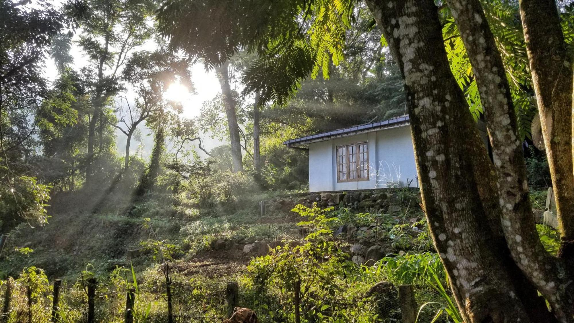 Jungle Tide Bed and Breakfast Kandy Buitenkant foto
