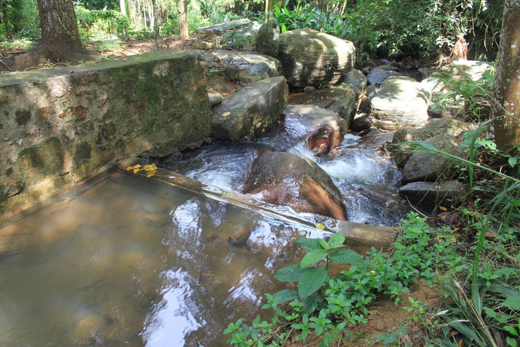 Jungle Tide Bed and Breakfast Kandy Buitenkant foto