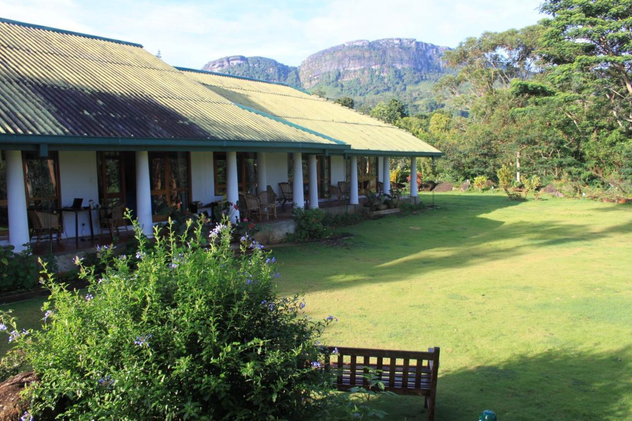 Jungle Tide Bed and Breakfast Kandy Buitenkant foto