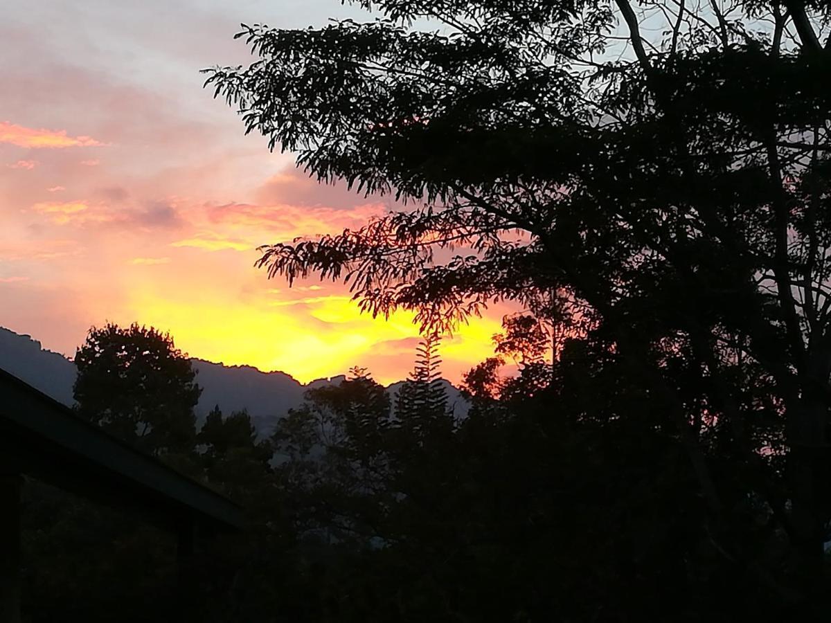 Jungle Tide Bed and Breakfast Kandy Buitenkant foto